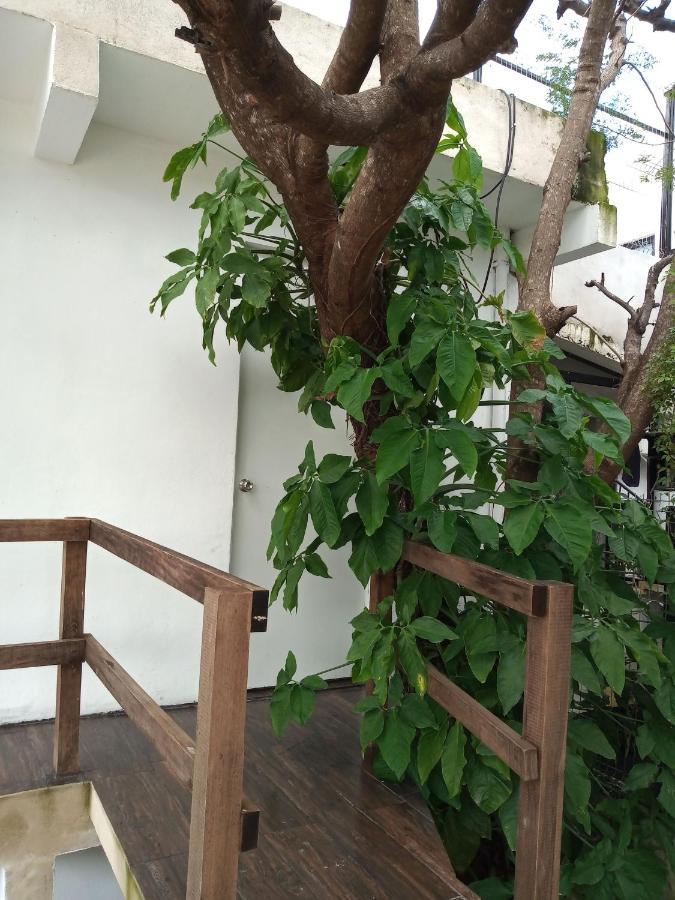 Estudio Zona Centro Cerca De La Terminal Ado Cancun Bagian luar foto