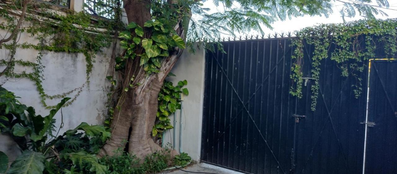 Estudio Zona Centro Cerca De La Terminal Ado Cancun Bagian luar foto