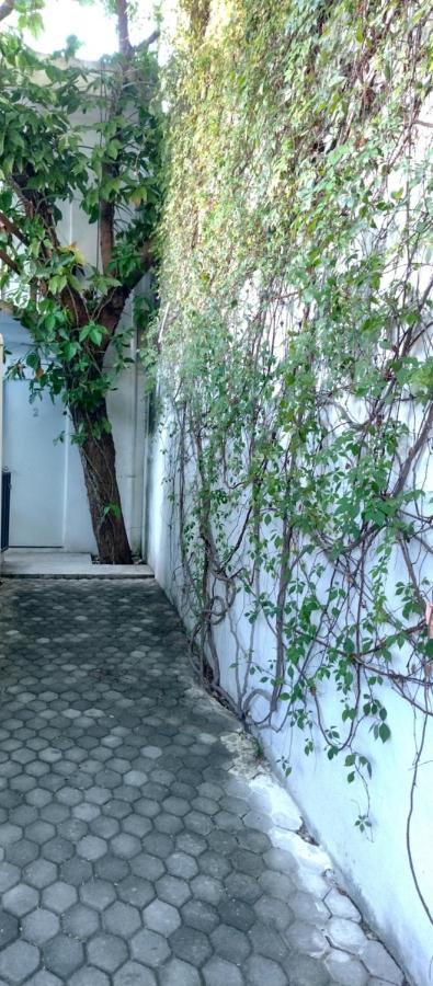 Estudio Zona Centro Cerca De La Terminal Ado Cancun Bagian luar foto